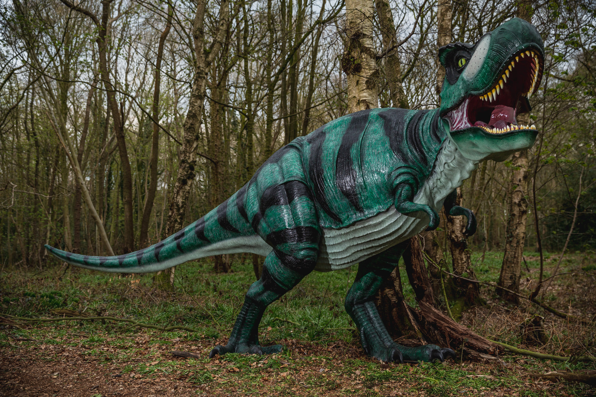 Totally Roarsome yorkshire 2023: Woodland Trail Near Leeds