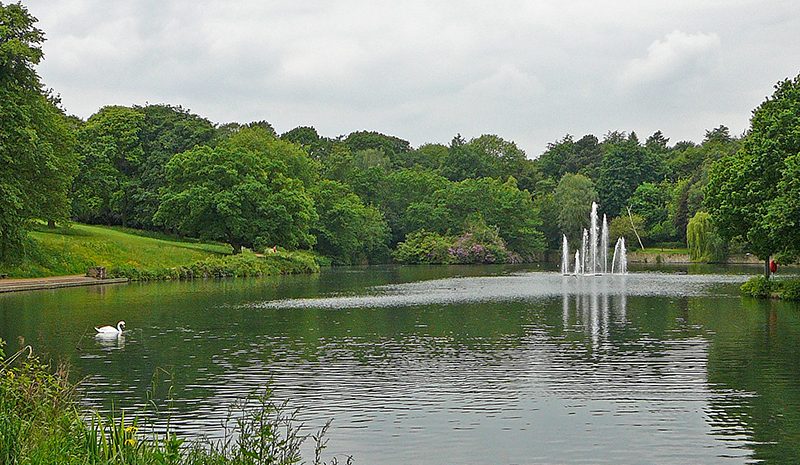 Roundhay park lake