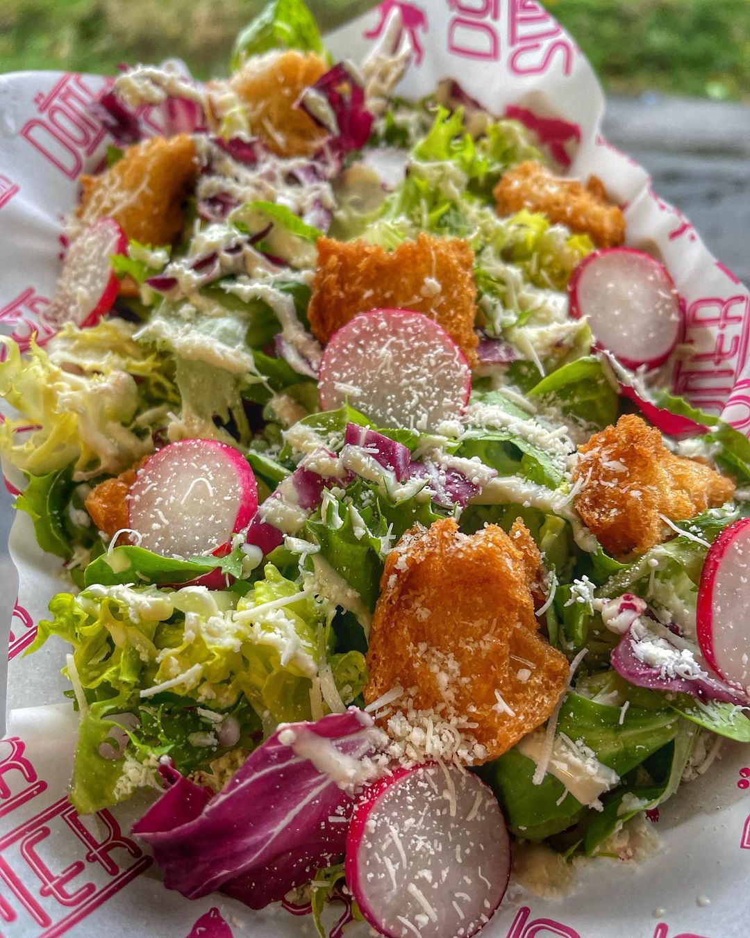 vegan haus salad launched in time for world vegan day at junk food restaurant in Leeds