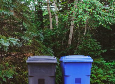 wheelie bins outside