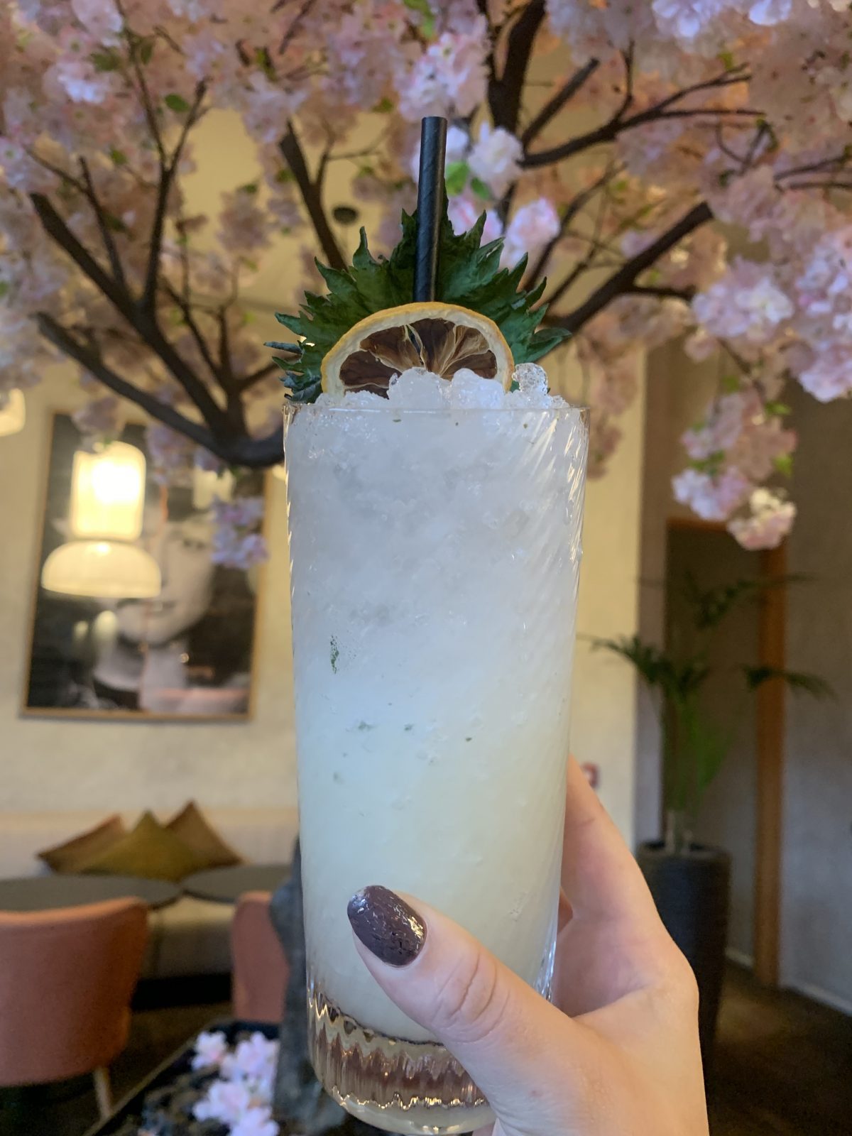 Mocktail with an orange on top, being held up in front of a cherry blossom tree inside Issho, Leeds.