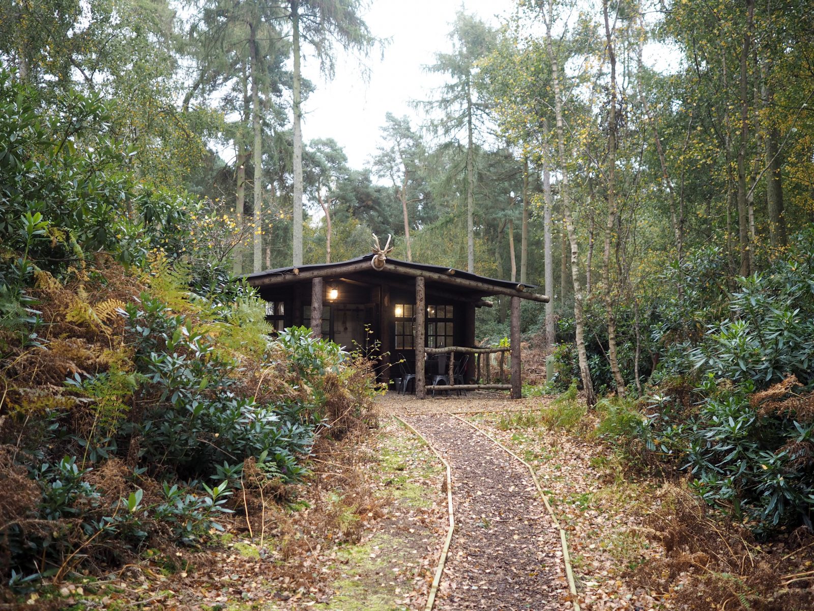 A woodland path leading to one of the woodland cottages at The North Star Club.