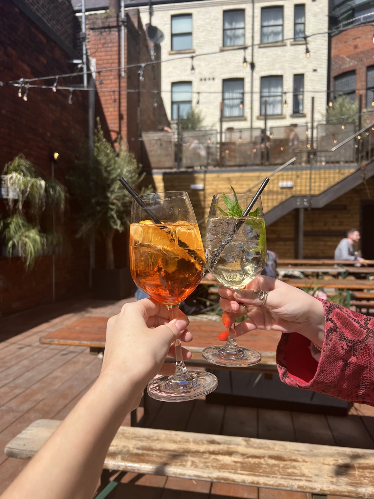 Two drinks cheers-ing in the sunshine.