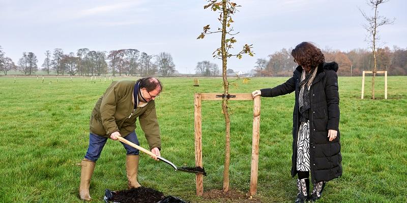 A tree being planted at the new Leeds woodland. 