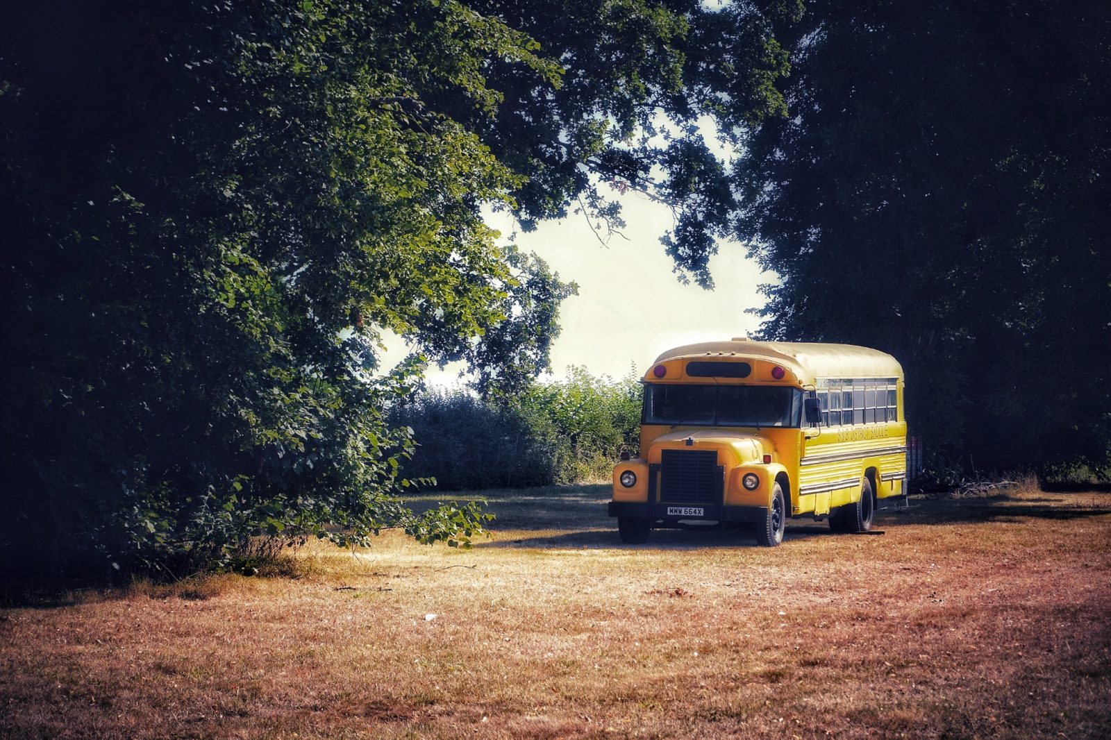 An old school bus from Johnny Vegas' new glamping site.
