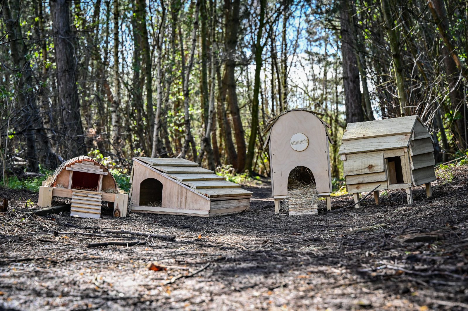 hedgehog houses.