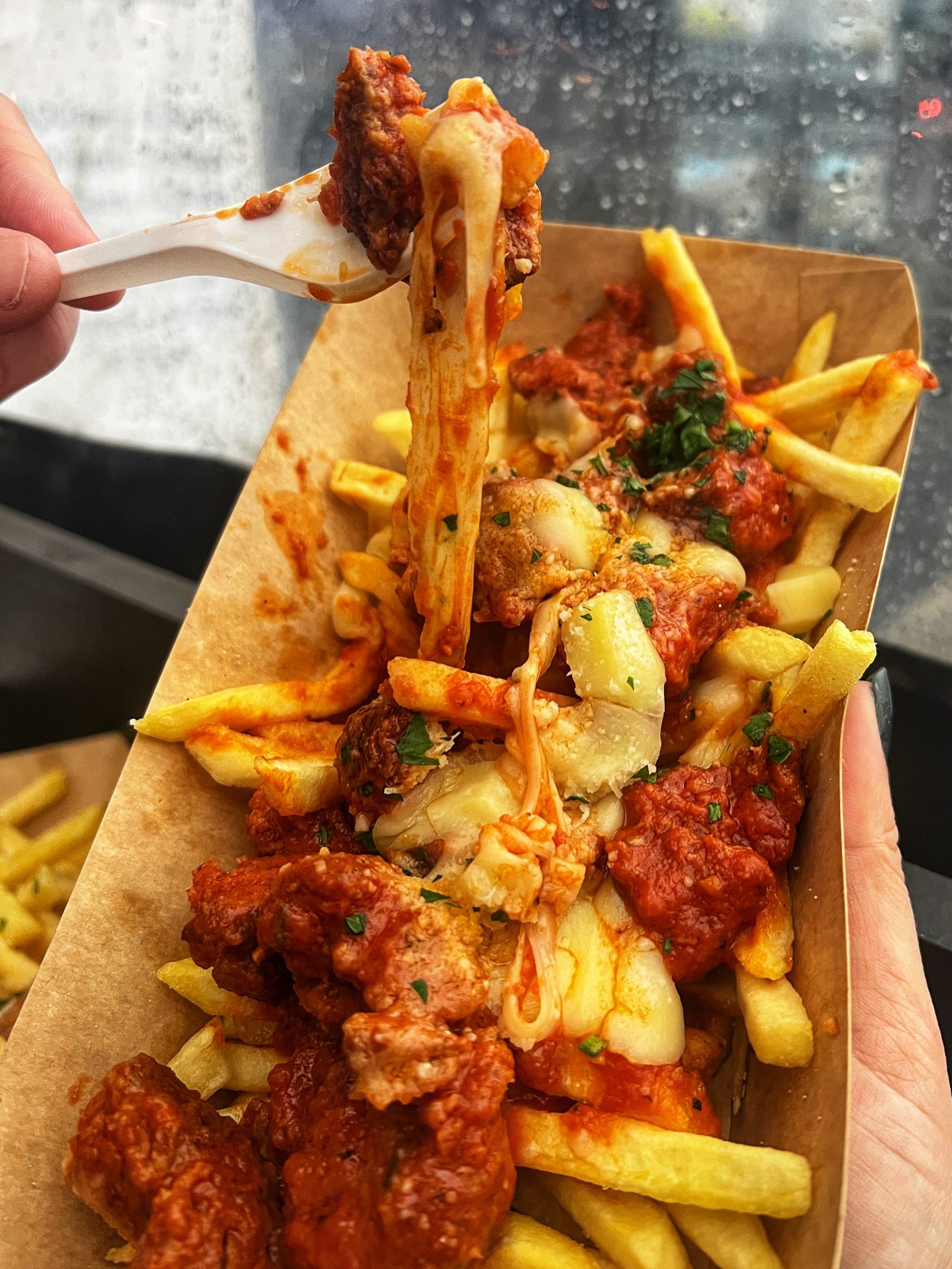 meatballs and fries.