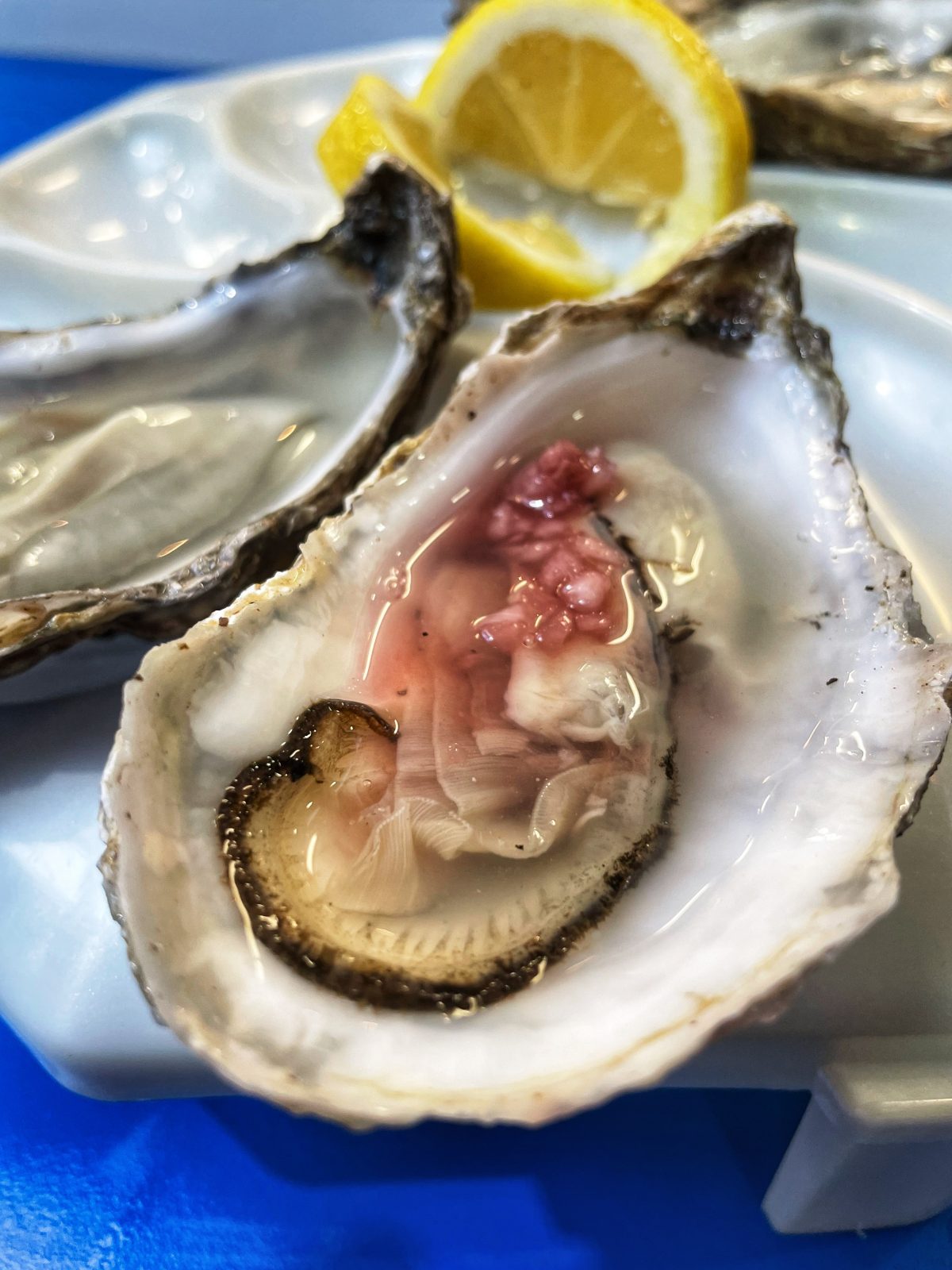 oysters from Hayes Seafood.