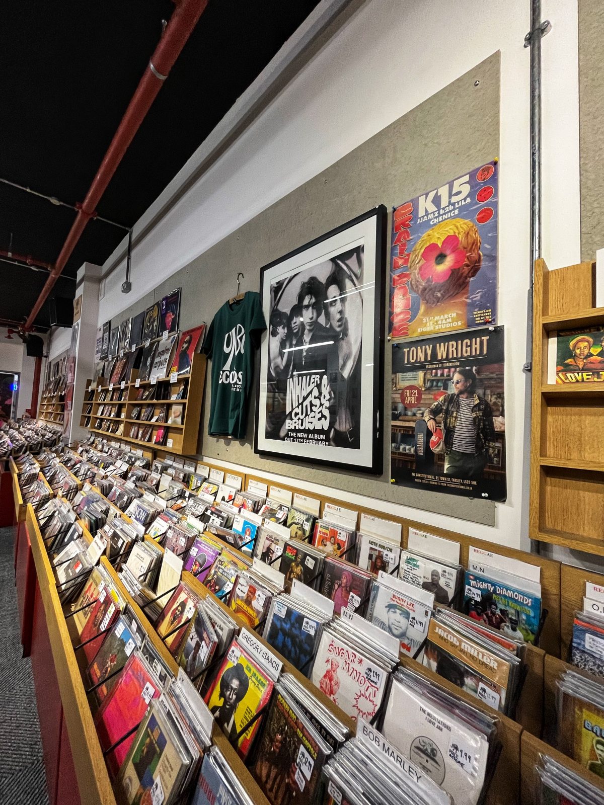 wall covered with vinyls.