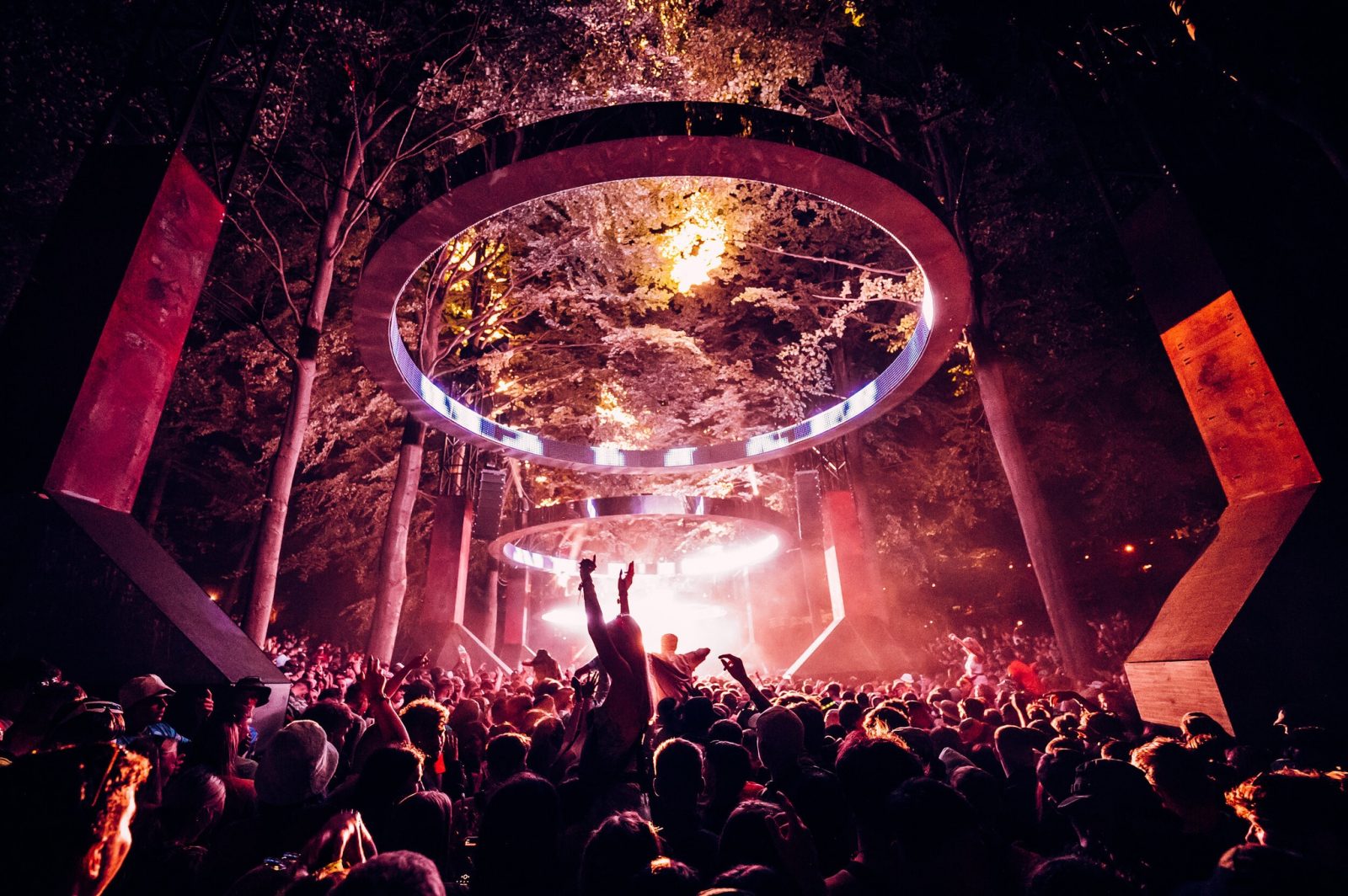 A late night party happening in a forest. 