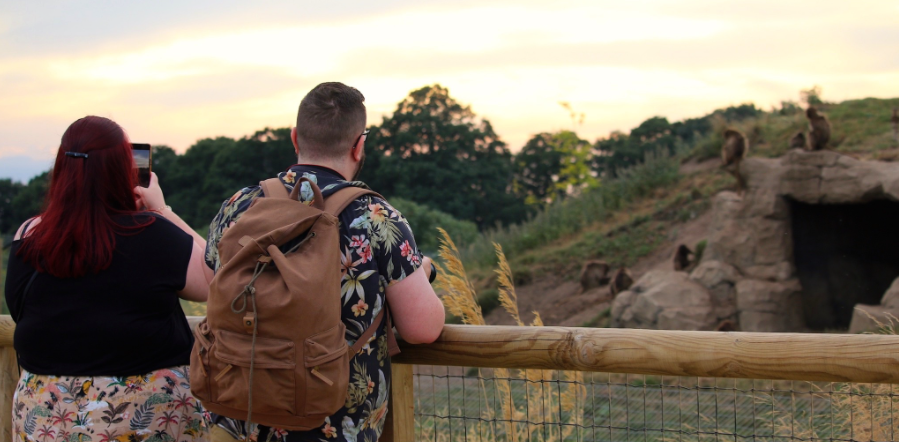 Two people on a safari. 