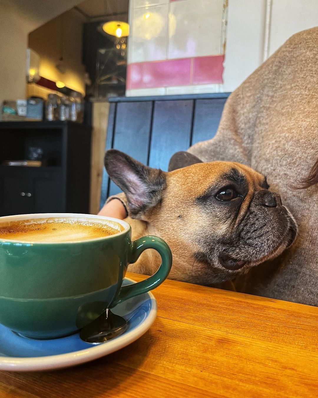 coffee with a dog in the background.