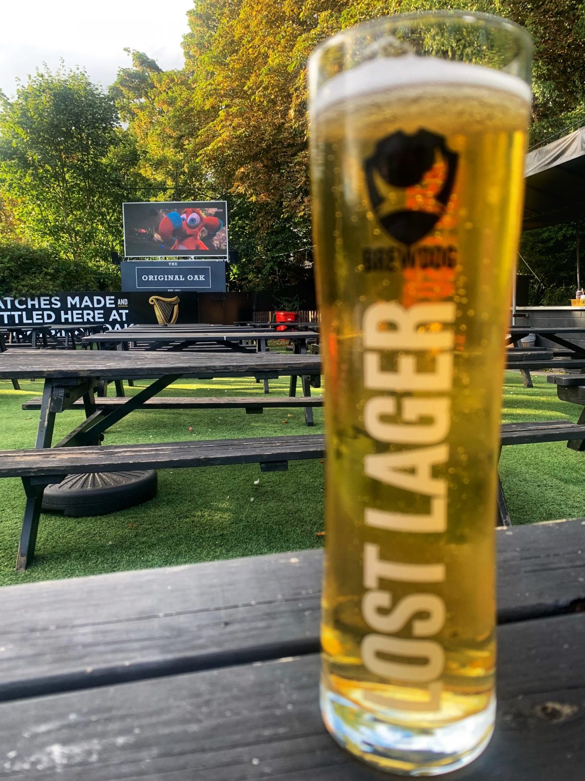 a pint of Lost lager on a brown bench in a beer garden.