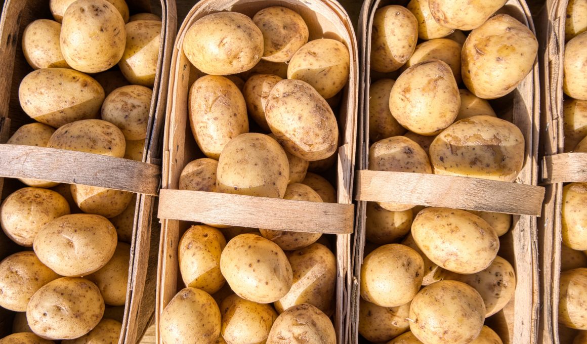 roasties shortage in UK this Christmas