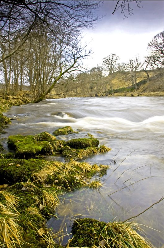 Simon Grubb Bolton Abbey