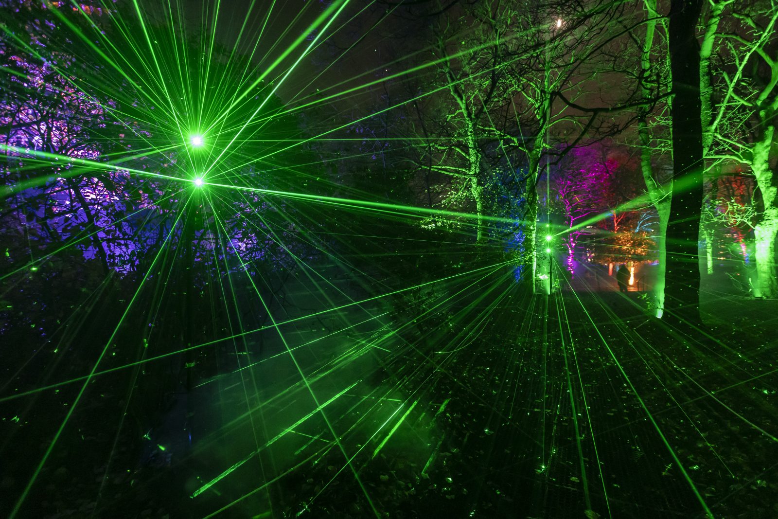 Light installations will take over Temple Newsam when Northern Lights Leeds arrives this Christmas. Credit: Supplied