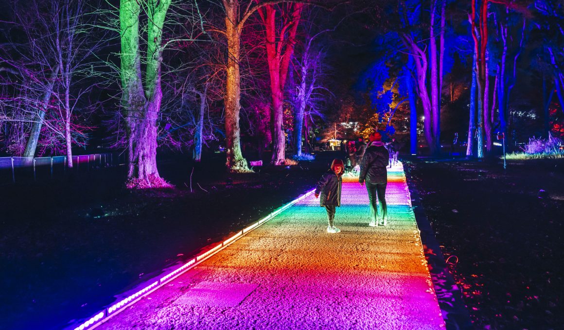 Temple Newsam will be lit up with a dazzling light trail this Christmas