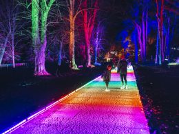 Temple Newsam will be lit up with a dazzling light trail this Christmas