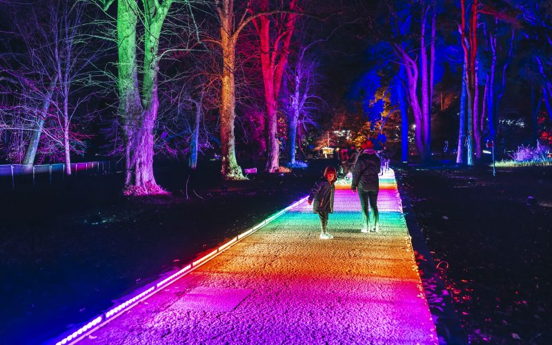 Temple Newsam will be lit up with a dazzling light trail this Christmas