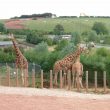 Troubled South Lakes Safari Zoo announces closure and plots move to Yorkshire