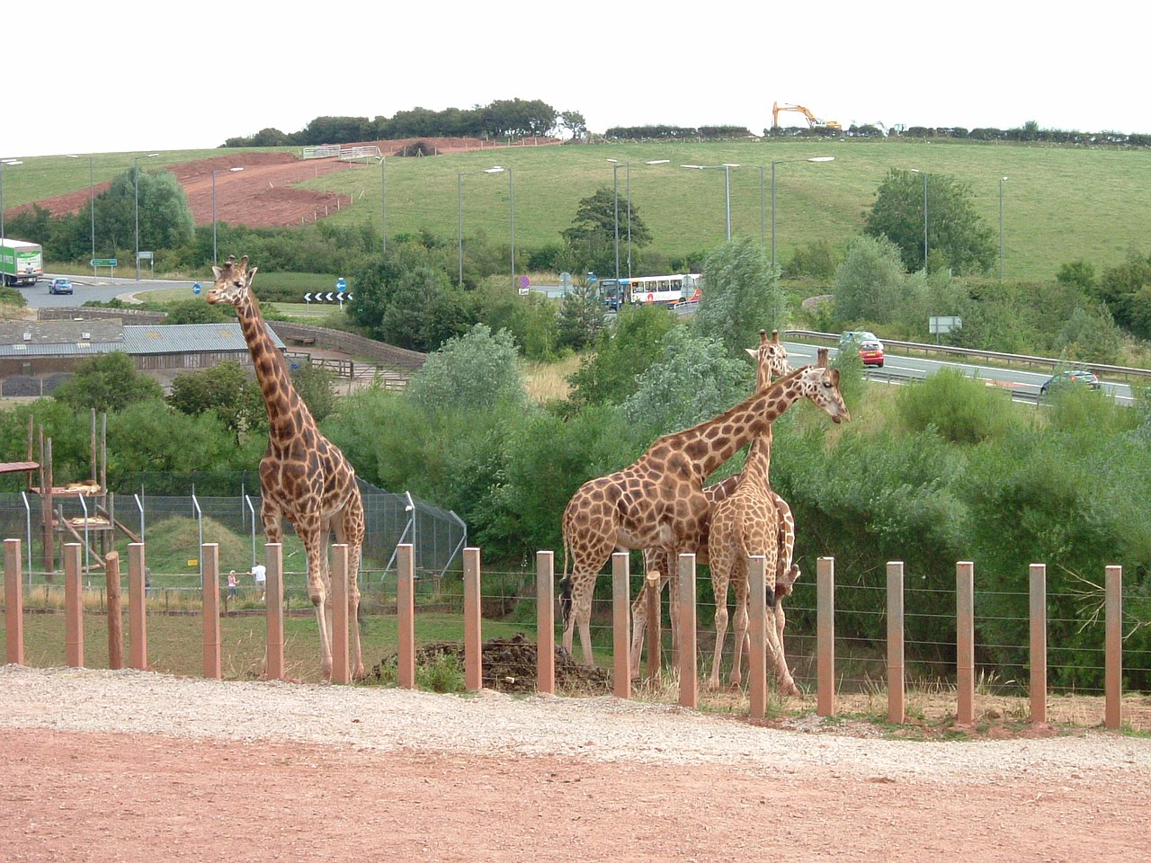 Troubled South Lakes Safari Zoo announces closure and plots move to Yorkshire