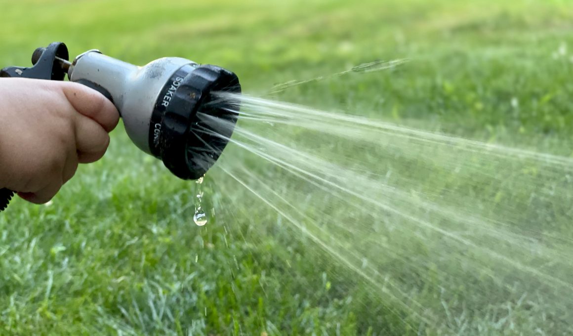 Yorkshire slapped with hosepipe ban after 'warmest spring for 132 years'