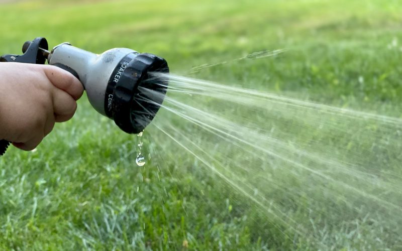 Yorkshire slapped with hosepipe ban after 'warmest spring for 132 years'