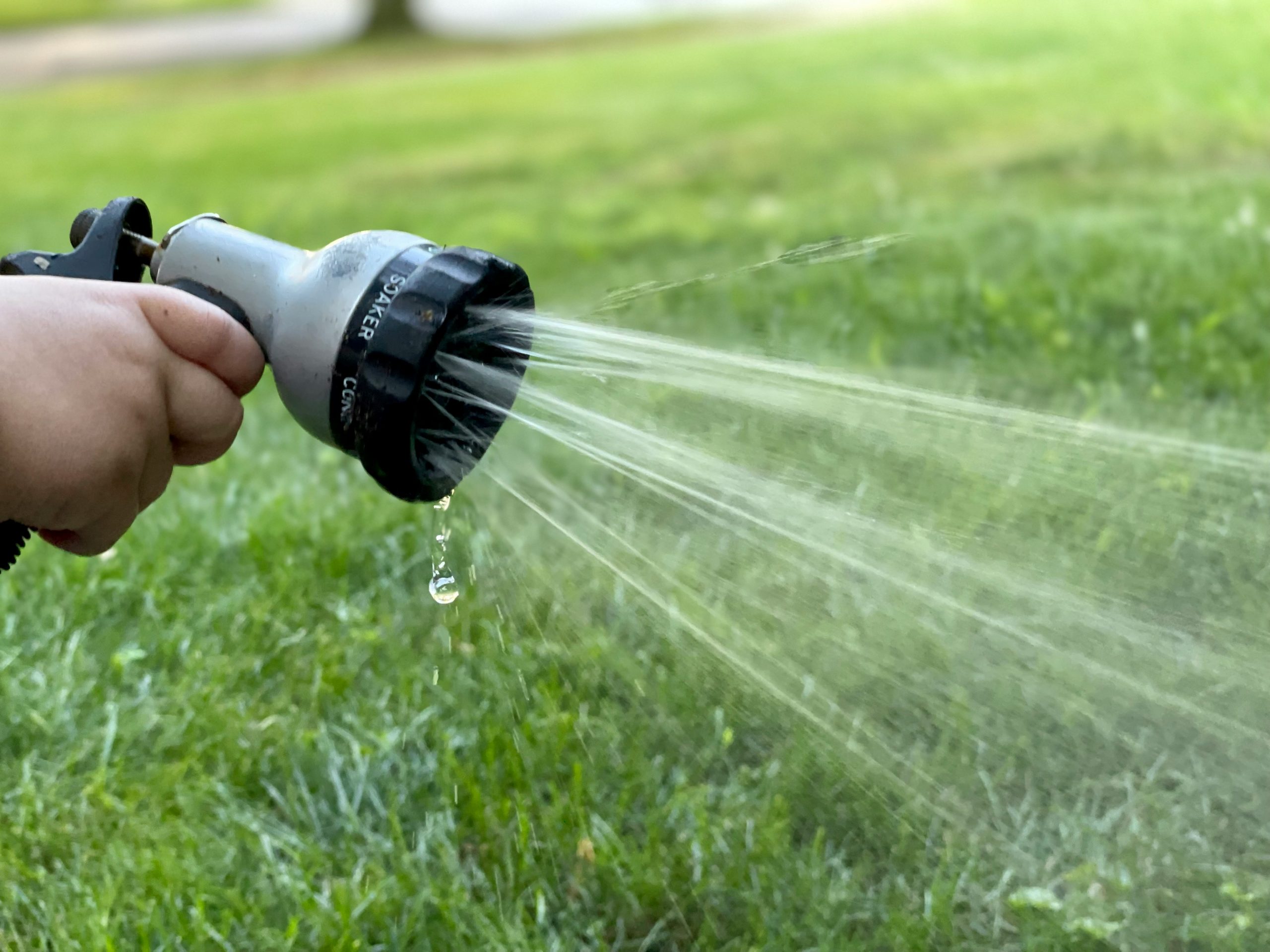 Yorkshire slapped with hosepipe ban after 'warmest spring for 132 years'