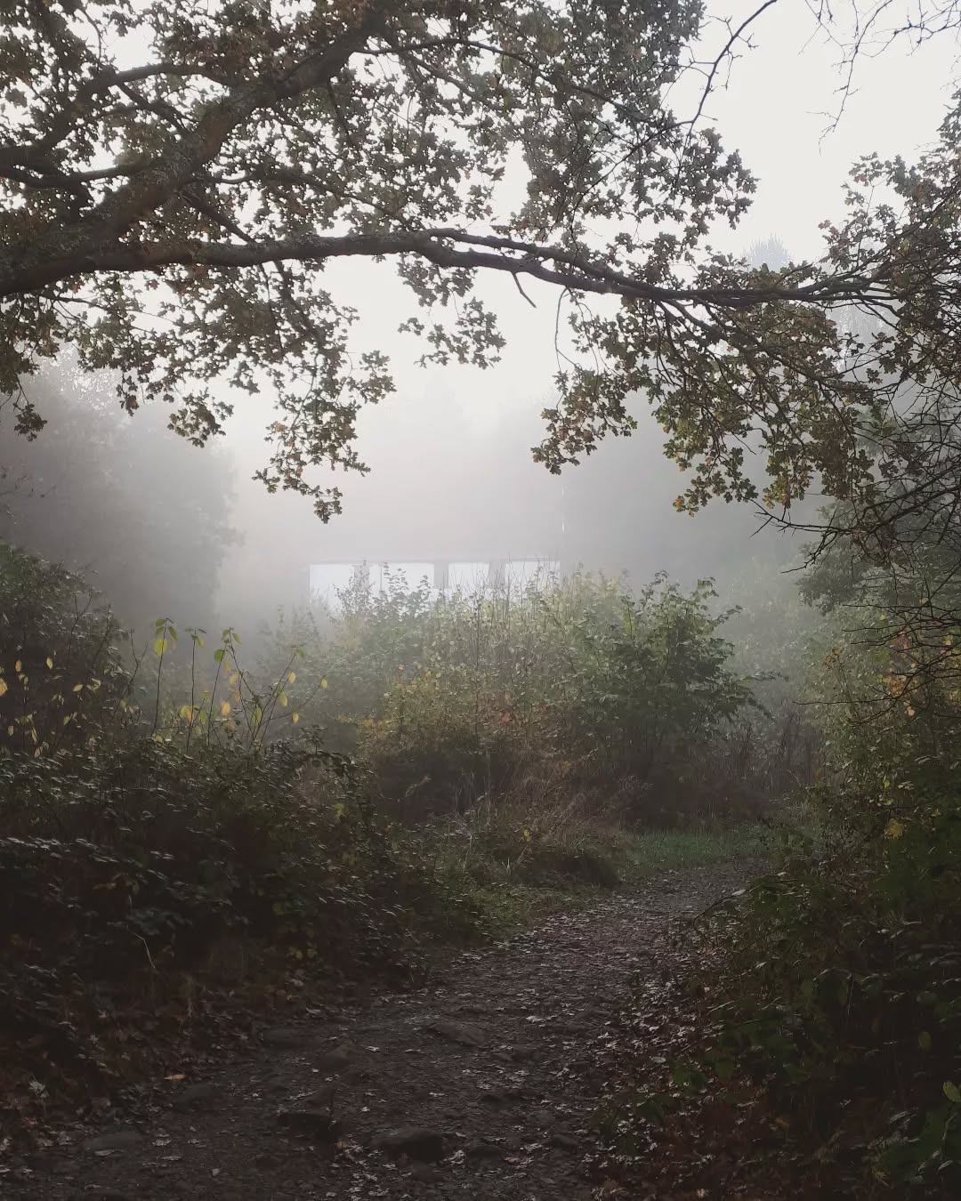 The Otley Chevin has something for all walkers, woodland trails and scenic countryside views / Credit: @carolineinthecountryside on Instagram