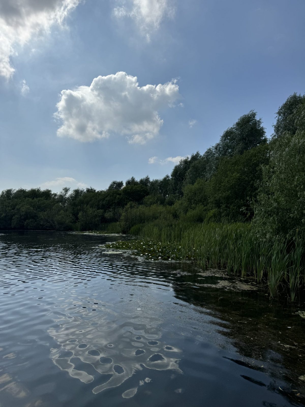 St. Aidans is the perfect place for a long stroll and a spot of birdwatching right here in Leeds  / Credit: The Hoot Leeds / @f.e.wildlifephotography on Instagram