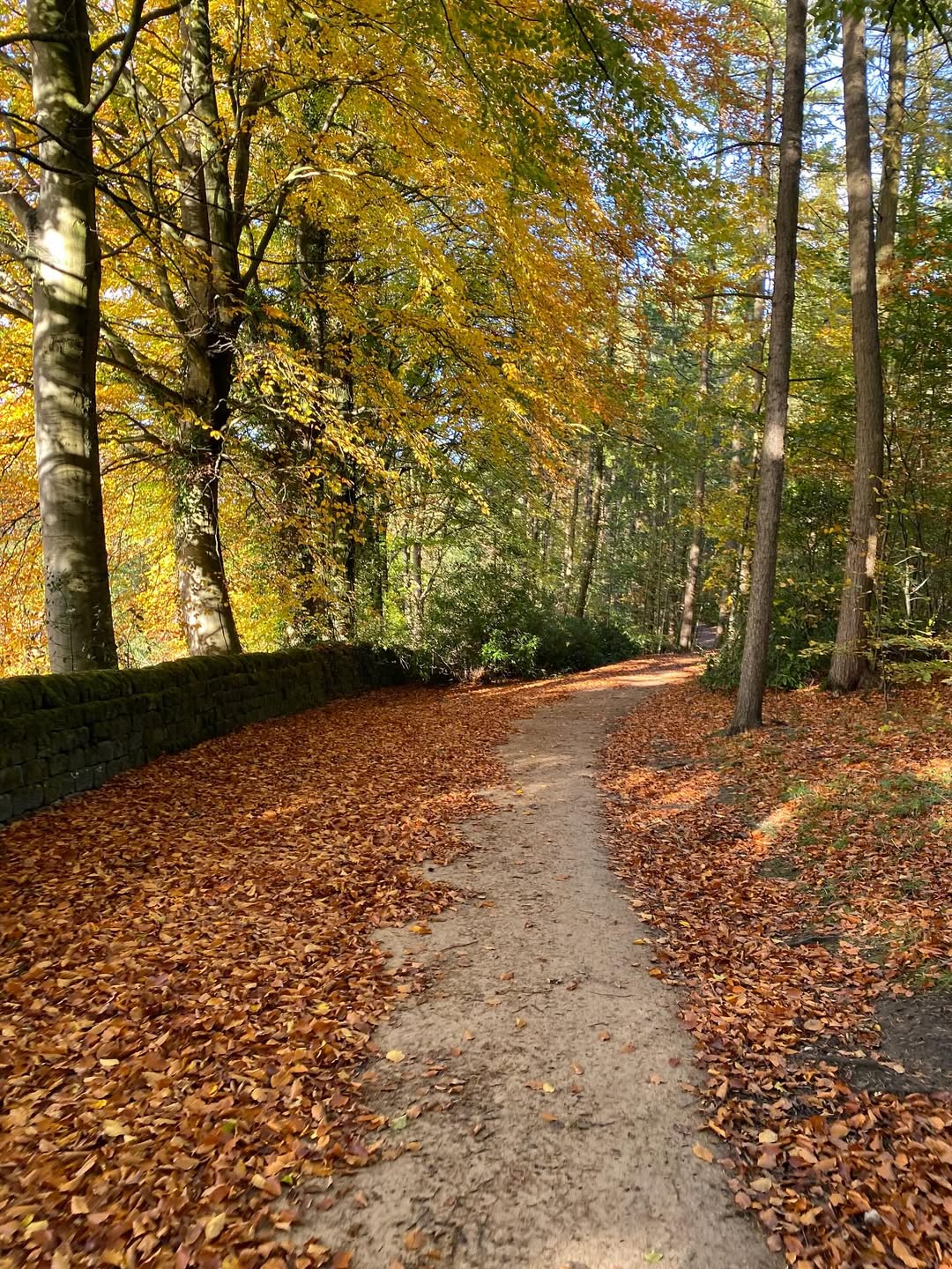 Swinsty Reservoir is a beautiful walk just north of Otley, West Yorkshire / Credit:  @running_with_mum and @skybluesophie on Instagram