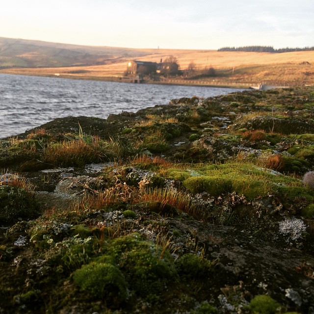 Next to Hebden Bridge is Withens Clough a West Yorkshire walk with two pubs closeby/ Credit: @ericbroug on Instagram