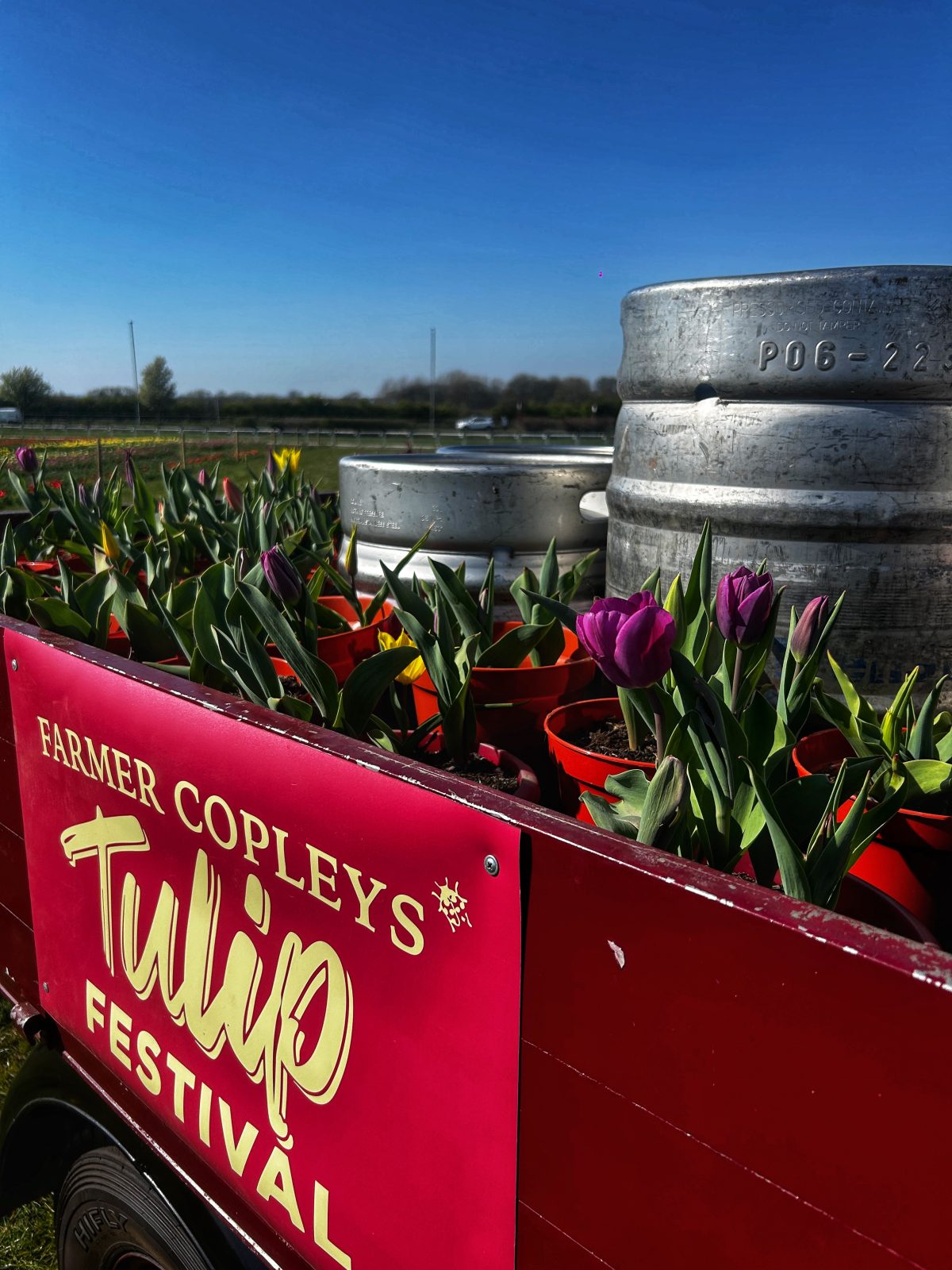 Dogs have been banned from Farmer Copleys Tulip Festival