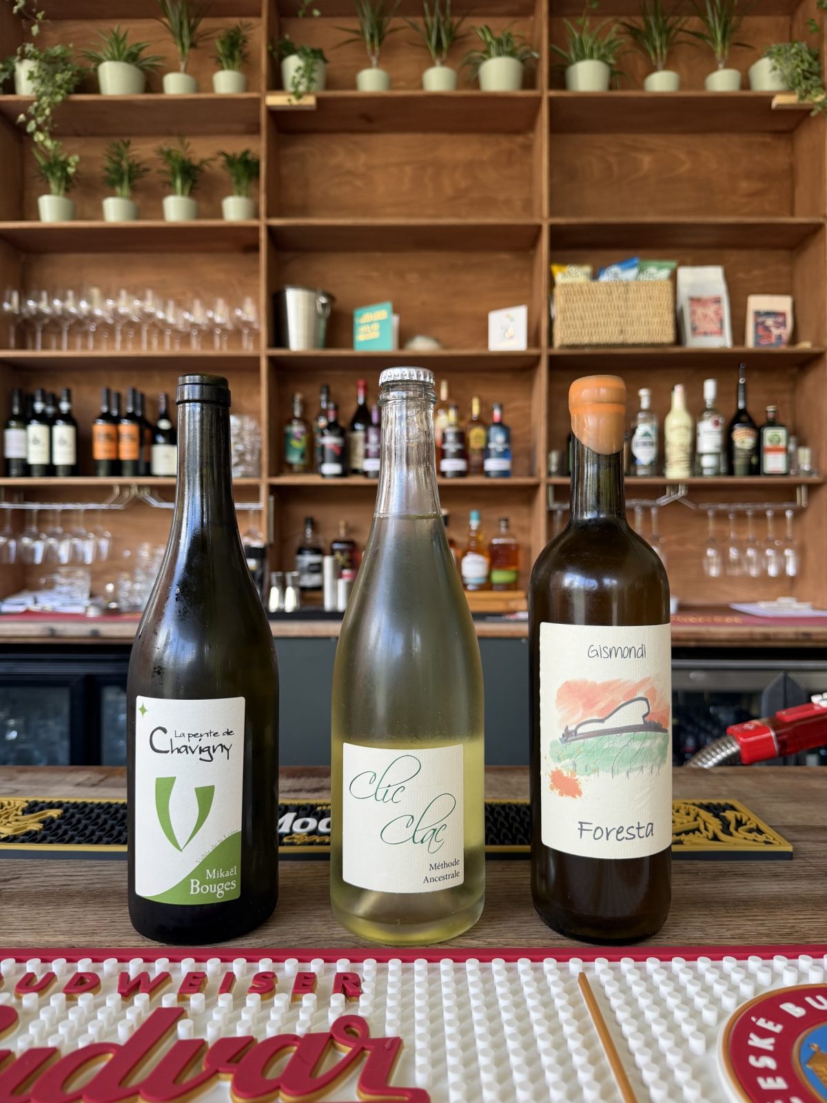 Wayward Wines