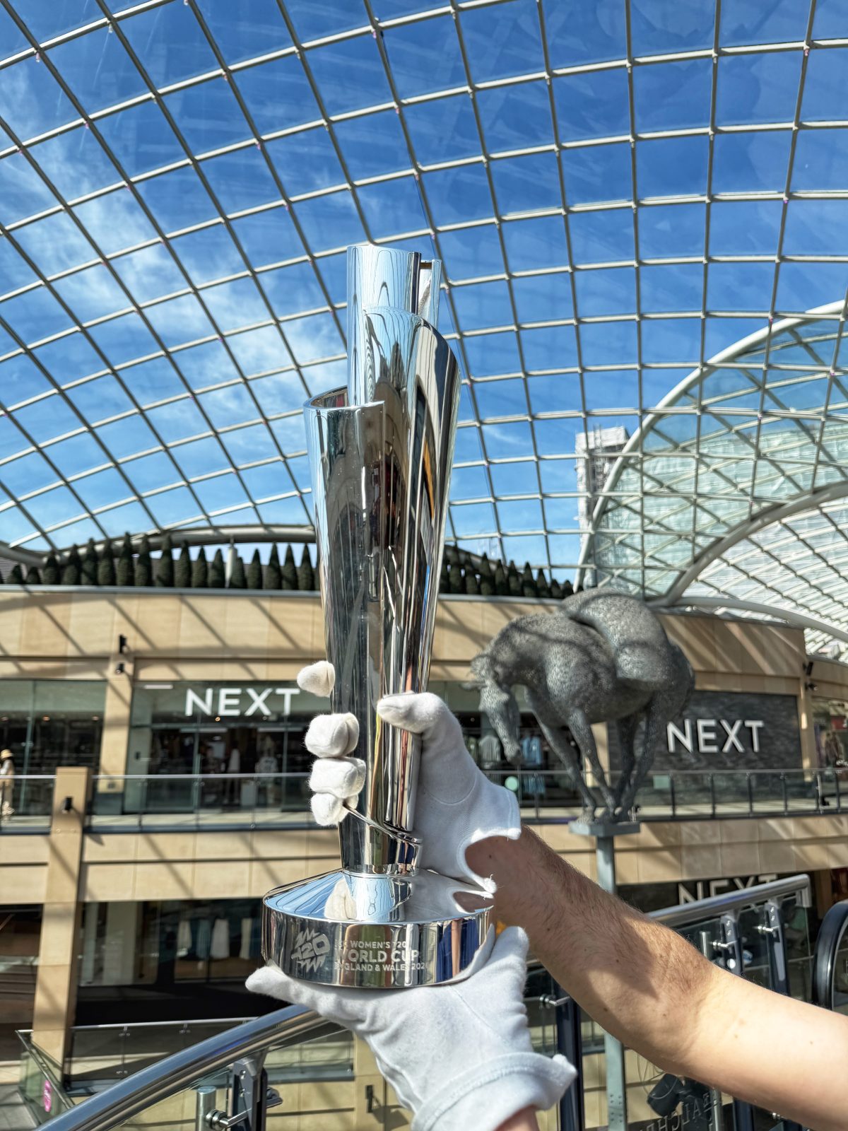 Headingley will host a number of T20 Women's World Cup fixtures