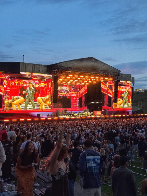 Pitbull at Roundhay Festival - For one glorious evening, Leeds became the happiest place on Earth